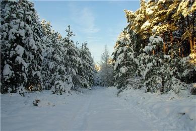 《孤岛惊魂6》PC版首个补丁 解决育碧Connect问题