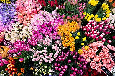 沙漠园艺生存游戏《荒原疗者》上架Steam 9月29日发售