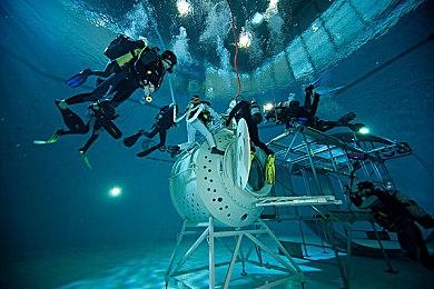 传《忍龙》重启作将由白金工作室负责